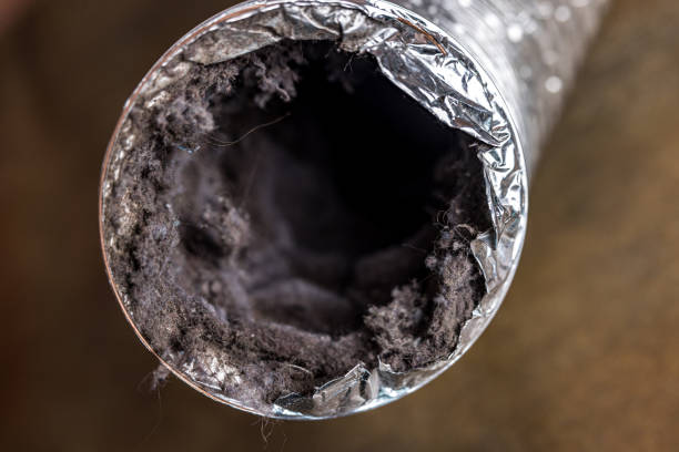 Best Air Duct Cleaning Near Me  in Madisonville, TX